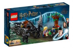 LEGO HARRY POTTER - LA CALÈCHE ET LES SOMBRALS DE POUDLARD #76400